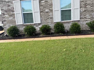 Lawn Care service in Compton, 90220