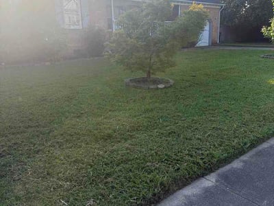 Lawn Care service in Harrisonburg, 22802