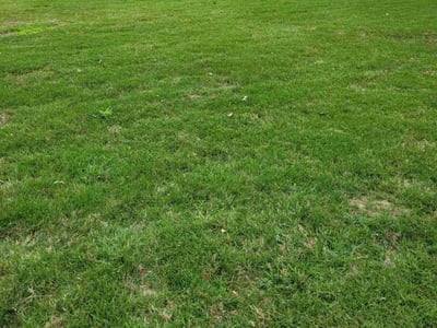 Lawn Care service in Green Valley, 85614