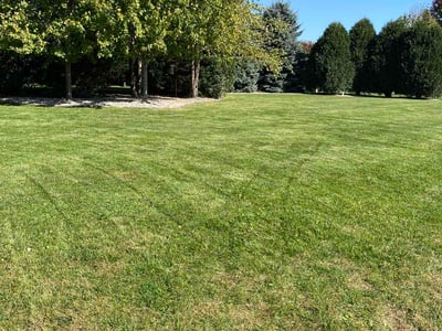 Lawn Care service in Wausau, 54403