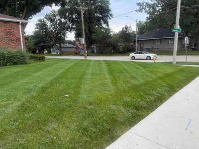 Lawn Care service in Des Moines, 50309