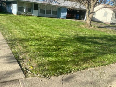 Lawn Care service in Wausau, 54403