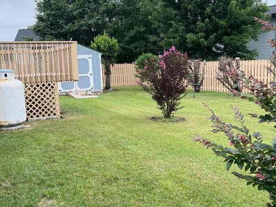 Lawn Care service in Clyde, 28721