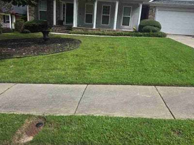 Lawn Care service in South Pasadena, 91030