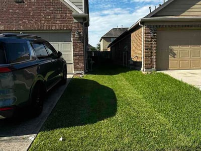 Lawn Care service in La Puente, 91744