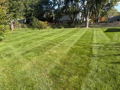 Lawn Care service in Schaumburg, 60194