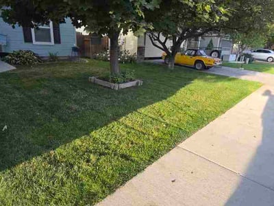 Lawn Care service in Lebanon, 97355