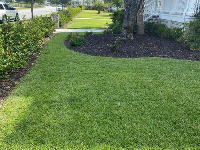 Lawn Care service in Mount Pleasant, 29464