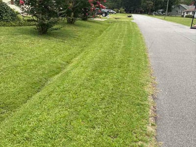 Lawn Care service in Taft, 93268