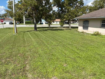 Lawn Care service in Torrance, 90503