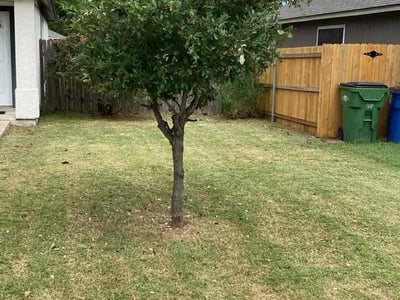 Lawn Care service in Taft, 93268
