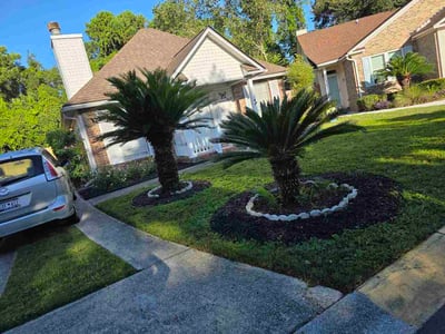 Lawn Care service in Mount Pleasant, 29464