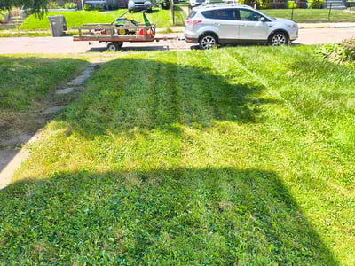 Lawn Care service in Duquesne, 15110