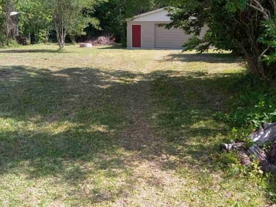 Lawn Care service in Encino, 91316