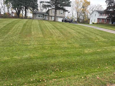 Lawn Care service in Victor, 14564