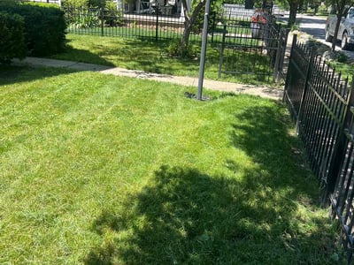 Lawn Care service in Marion County, 46208