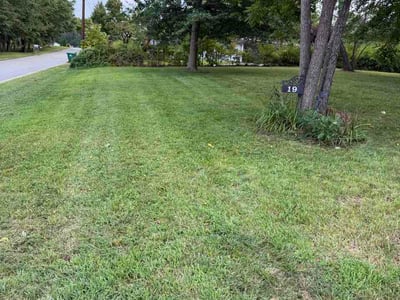 Lawn Care service in Waynesville, 28786