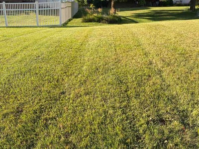 Lawn Care service in Lockport, 60441