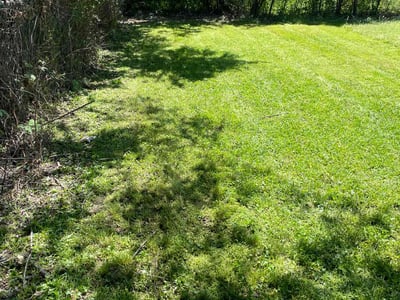 Lawn Care service in Baldwin Park, 91706