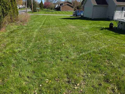 Lawn Care service in Victor, 14564
