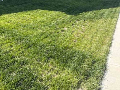 Lawn Care service in Lawrence, 46226
