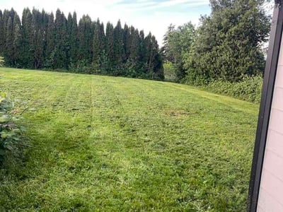 Lawn Care service in Snohomish, 98290