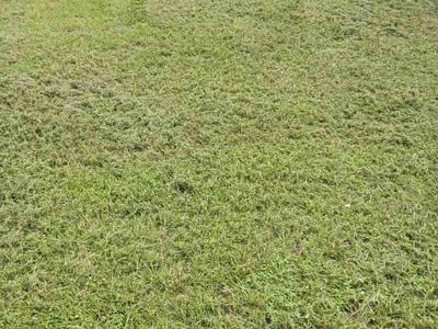 Lawn Care service in Key Largo, 33037