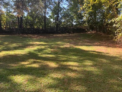 Lawn Care service in Arden, 28704