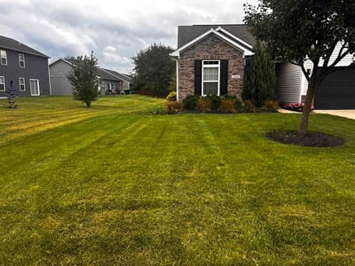 Lawn Care service in Beech Grove, 46107
