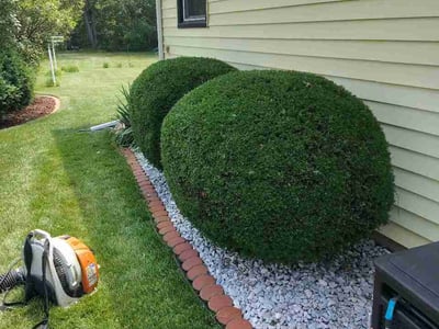 Lawn Care service in Mundelein, 60060