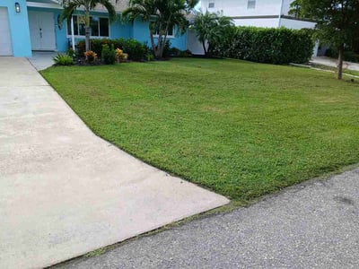Lawn Care service in Key West, 33040