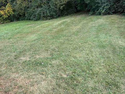 Lawn Care service in Mount Holly, 08060