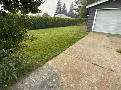 Lawn Care service in Anacortes, 98221