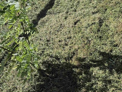 Lawn Care service in Tarentum, 15084