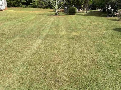 Lawn Care service in Lawton, 73501