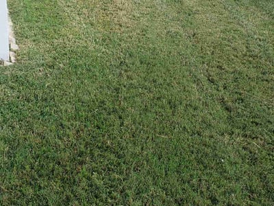 Lawn Care service in Sebring, 33870