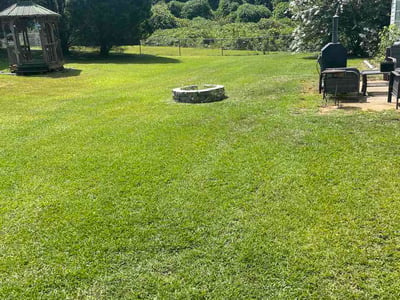 Lawn Care service in Bluefield, 24701