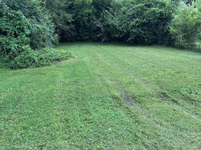Lawn Care service in Perris, 92570