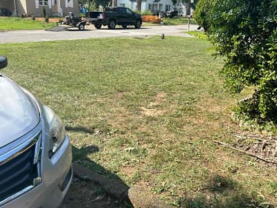 Lawn Care service in Perris, 92570