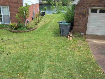 Lawn Care service in Farmingdale, 11735