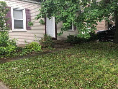 Lawn Care service in McKees Rocks, 15136