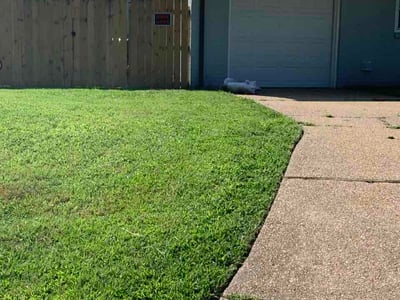 Lawn Care service in Danville, 24541