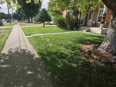 Lawn Care service in Orem, 84057
