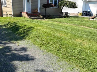 Lawn Care service in Henrietta, 14467