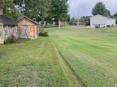 Lawn Care service in Sevierville, 37862