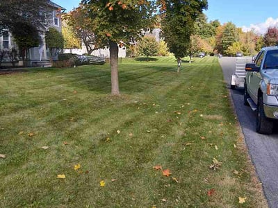 Lawn Care service in Ballston Spa, 12020