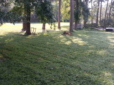 Lawn Care service in Cerritos, 90703