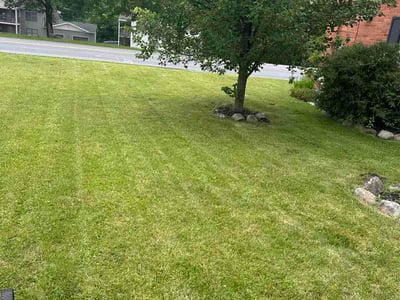 Lawn Care service in Ballston Spa, 12020