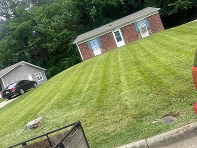 Lawn Care service in New Brunswick, 08901