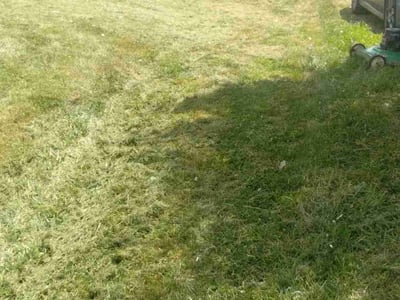 Lawn Care service in Lancaster, 93534